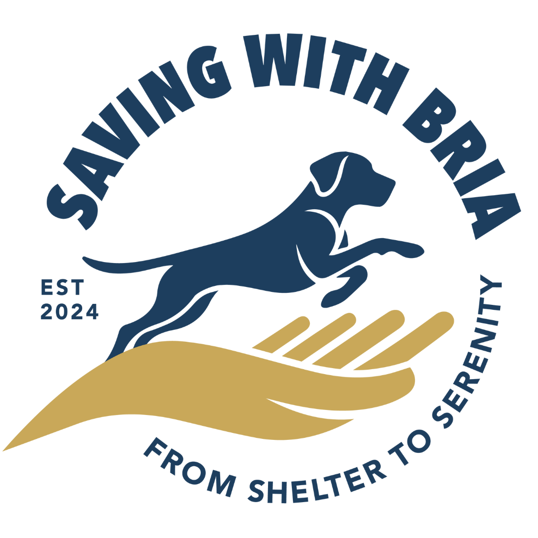 Saving with Bria