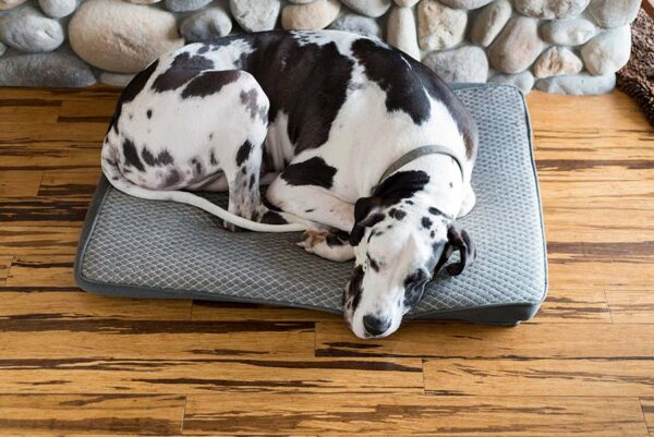 Pet Bed